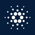 cardano foundation