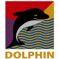 dolphin oilfield equipment services company llc