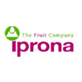 iprona group