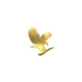 forever living