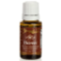 young living essential oils independent distributor