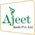 ajeet seeds pvt ltd