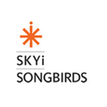 skyi developers