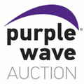 purple wave auction