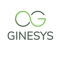 ginesys one
