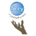 scry ai
