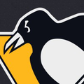 pittsburgh penguins