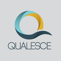 qualesce llc