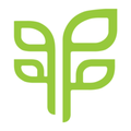 genesis pure corp
