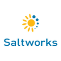 saltworks technologies industrial water lithium