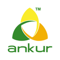 ankur scientific energy technologies pvt ltd
