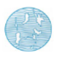 seven islands shipping ltd