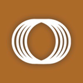 fi consulting