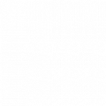 miller transportation group