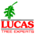 lucas tree expert co inc