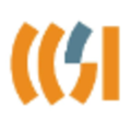 capitol construction services inc