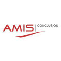 amis conclusion