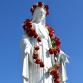 mater dei
