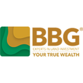 bbg building blocks group