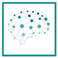 intranerve neuroscience