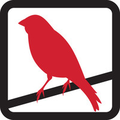 red canary