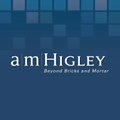 the albert m higley co