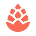 cedar