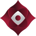 antares vision group