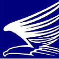falcon ambulance
