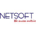 netsoft consulting services p ltd