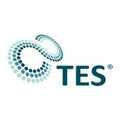 tes group