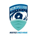montpellier herault rugby