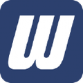 witmer public safety group inc