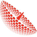 NSSLGlobal Logo