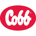 cobb europe