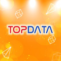 topdata global it solutions