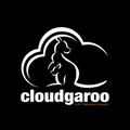 cloudgaroo web solutions