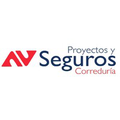 proyectos y seguros sa