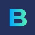 blue motor finance ltd