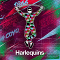 harlequins