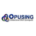 opusing llc