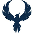 phoenix defense llc