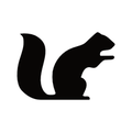 squirrel systems