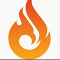 phoenix stamping group llc
