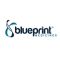 blueprint medicines