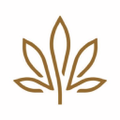 kiva brands inc
