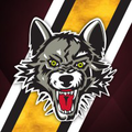 chicago wolves
