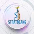 stratbeans learning solutions