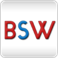 brandscapes worldwide