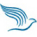 befree finance and accounting business process outsourcing